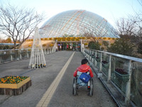 Medium_とっとり花回廊 (15)s